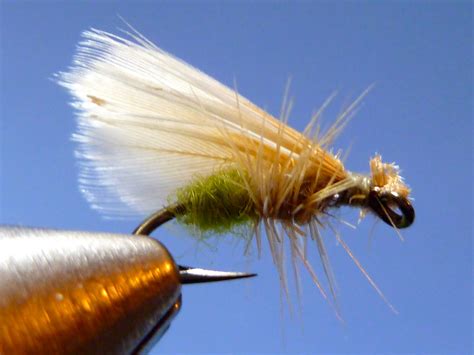 Korns Spent Wing Apple Caddis