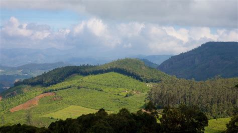 Doddabetta Peak - Ooty ｜Expedia.co.in