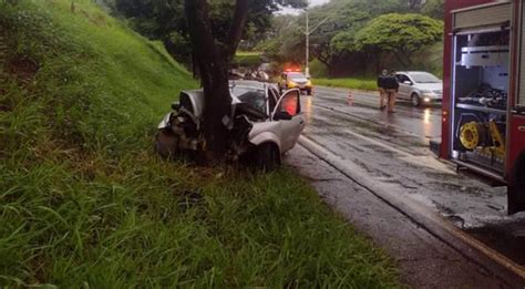 Homem morre em colisão contra árvore em Londrina O Portal do Norte do