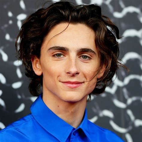 Timothée Chalamet Pays Homage to Edward Scissorhands in Super Bowl ...