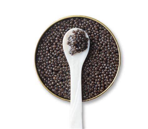 Beluga Caviar - A Rare Sturgeon Caviar in Canada. - IHOC