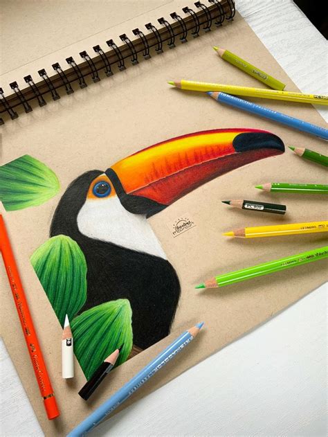 Toucan Pencil Drawing | Fruit art drawings, Colored pencil art projects, Prismacolor art