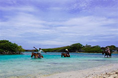 Tripadvisor Atv Safari Und Reitabenteuer In Der Mahogany Bay Zur