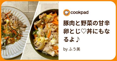 豚肉と野菜の甘辛卵とじ♡丼にもなるよ♪ By ふう美 【クックパッド】 簡単おいしいみんなのレシピが394万品