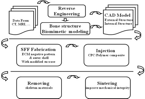 Biomimetic Structured Porogen Freeform Fabrication System For Tissue