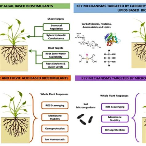 1 Role Of Plant And Microbial Biostimulants In Alleviating Stress