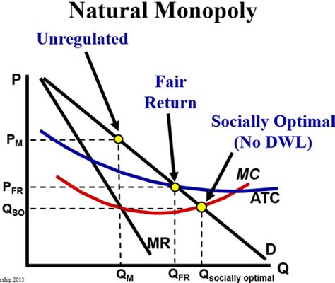 Regulated Monopoly Graph