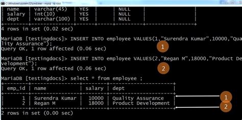 Write A JDBC Program To Connect MySQL Database TestingDocs