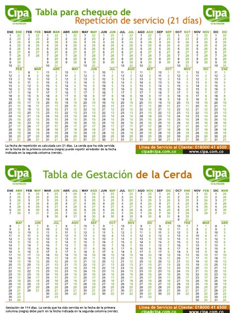 Tablagestacioncerdasv2pdf