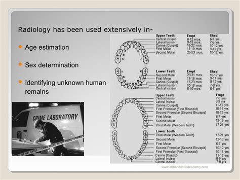 Role Of Oral Radiology In Forensic Dentistry [autosaved] Oral Surger