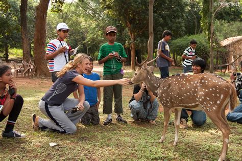 How to Keep Wildlife Safe and Respectful While Camping? - Elizabethtown ...