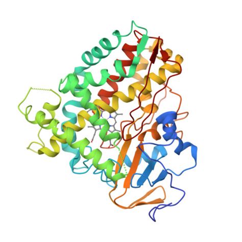 Rcsb Pdb Gtl Crystal Structure Of Cytochrome P Cyp D