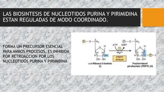 Metabolismo De Nucle Tidos Purina Y Pirimidina Pptx