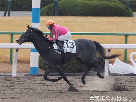 【京都4r 3歳新馬】スウェプトオーヴァーボード産駒のオメガパフュームが快勝！ 競馬ニュースなら競馬のおはなし