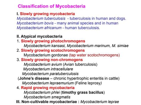 Mycobacterium.ppt bacterial diseases. Tb | PPT