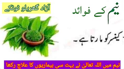 Neem Ke Fawaid Benefits Of Neem Neem Ke Fayde Neem Benefits In Urdu Part 1 Youtube