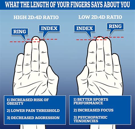 Revealed What The Length Of Your Fingers Says About You According To