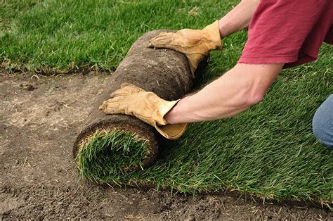 Sod Installation Delea Sod Farms