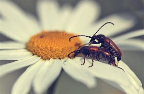 Lets Talk About Sex Haben Eltern Berhaupt Noch Sex Stadt Land Mama