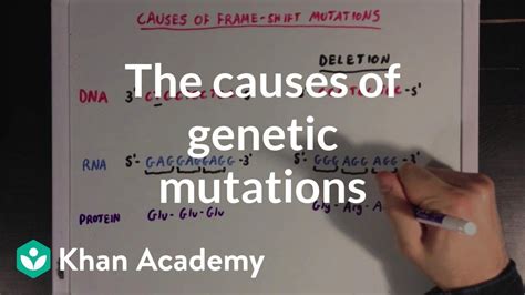 The Causes Of Genetic Mutations Biomolecules Mcat Khan Academy