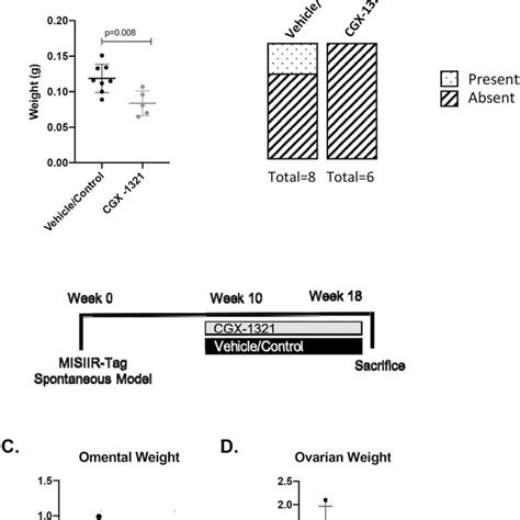 CGX 1321 Monotherapy Decreases Tumor Burden In The ID8p53 Model