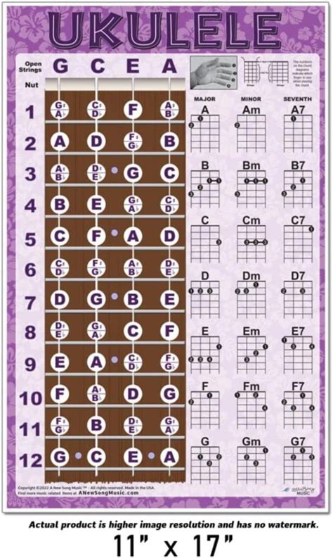 8 Best Ukulele Chord Charts 2023 Singers Room