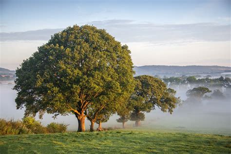 Dawn Light Tony Armstrong Sly Flickr