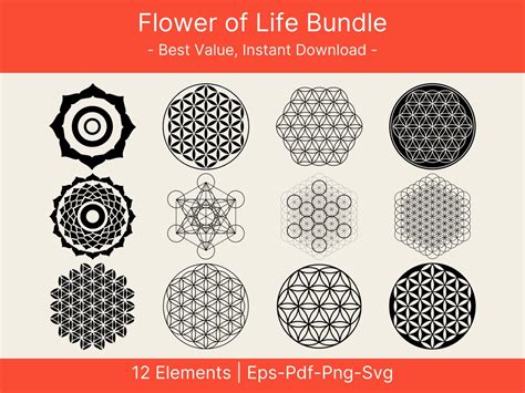 Flower Of Life Vector Sacred Geometry Png Seed Of Life Svg Tree Of