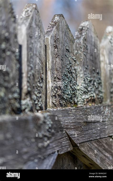 Ancient Wooden Fence Covered By Moss Close Up Stock Photo Alamy