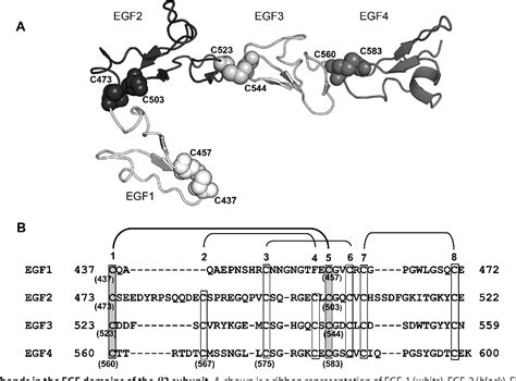 Figure 1 From Unique Disulfide Bonds In Epidermal Growth Factor Egf