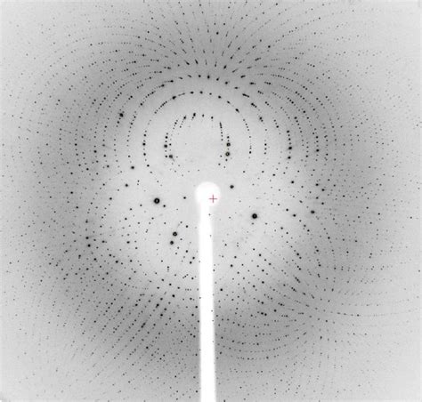 diffraction pattern | Pattern, Molecular