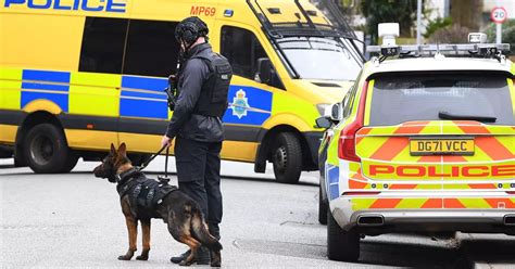 Man arrested after nine hour stand off with armed police - Liverpool Echo