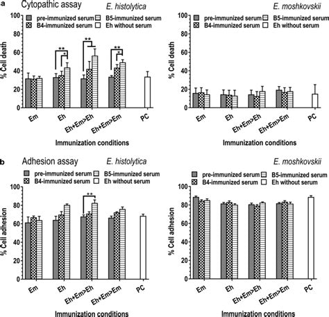 Cytopathic And Adhesion Assays Of E Histolytica And E Moshkovskii Download Scientific Diagram