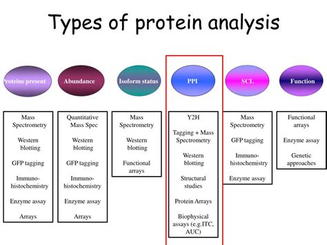 Ppt Dah34 Protein Interactions Sub Cellular Locations And Arrays