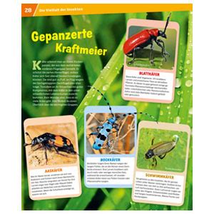 Was Ist Was Band Insekten Berlebensk Nstler Auf Sechs Beinen Was