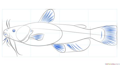 How To Draw A Catfish Step By Step Drawing Tutorials