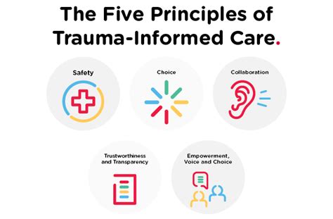 Trauma Informed Care Diagram