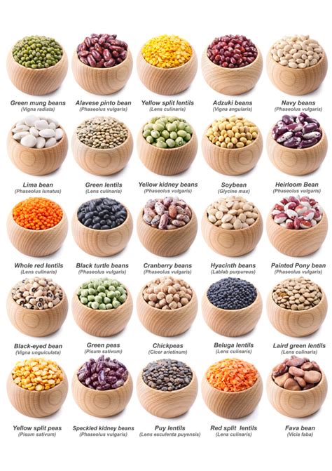 Legumes 101 Everything You Need To Know About Legumes Recipe Food