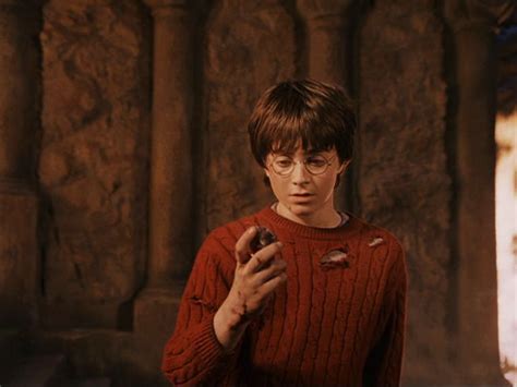 Harry Potter and the Sorcerer's Stone - Harry Potter Image (3111967 ...