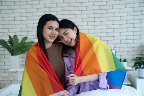 Lesbian Flag Variations Celebrating Diversity In Representation Living There