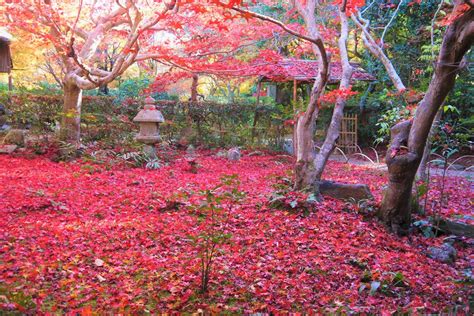 10 Best Autumn Leaves Spots In Kyoto 2020 Japan Web Magazine