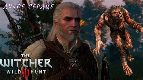 Прохождение Ведьмак 3 Дикая Охота The Witcher 3 Wild Hunt Дикое