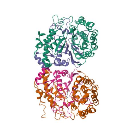 RCSB PDB 2QMC Crystal Structure Of Helicobacter Pylori Gamma