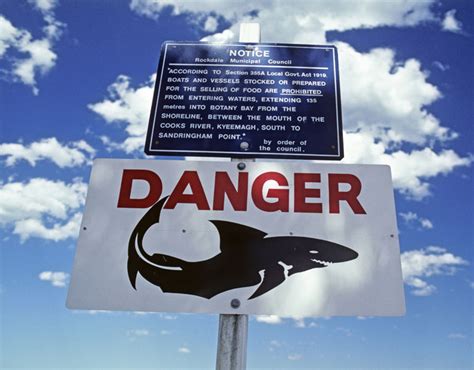 Shark Attack Old Man Bitten By Great White While Surfing In Australia World News Express