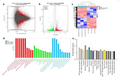 GO KEGG Pathway Enrichment Analysis Of Differentially Expressed Genes