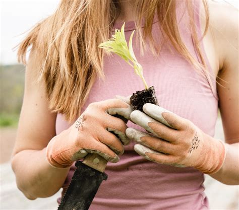 Les L Gumes Perp Tuels Un Tr Sor Pour Un Potager Durable Et Productif