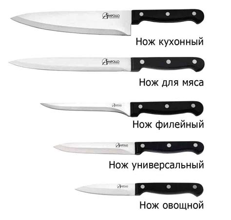 Виды кухонных ножей [фото и инфографика]: все разновидности кухонных ...