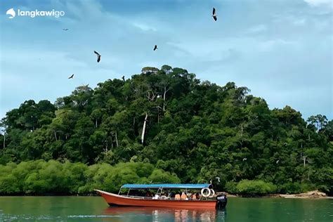 Langkawi Island Hopping Private Tour 8 Seater Boat