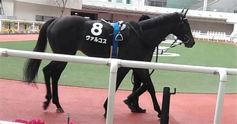 314（土）阪神9r ゆきやなぎ賞 1番人気馬｜jrdb 競馬アラカルト