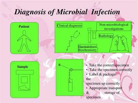 Ppt Introduction To Diagnostic Microbiology Powerpoint Presentation